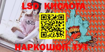 гидра Будённовск