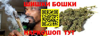 гидра Будённовск