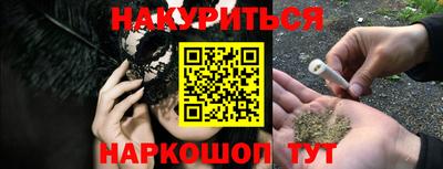 гидра Будённовск