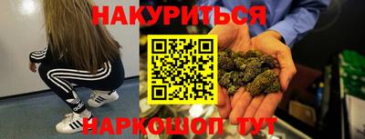 гидра Будённовск