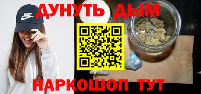гидра Будённовск