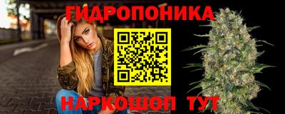 гидра Будённовск