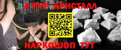 гидра Будённовск