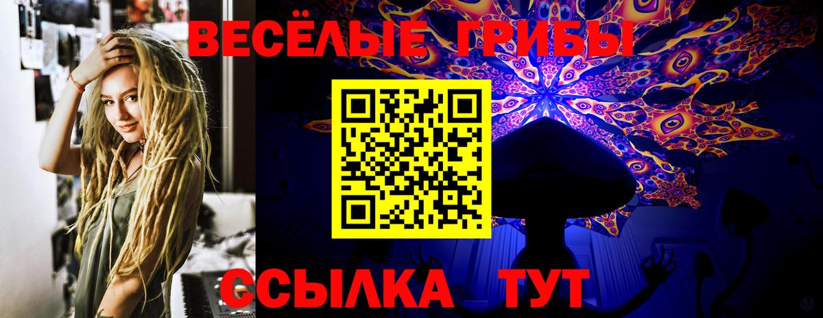 Галлюциногенные грибы Cubensis Тольятти