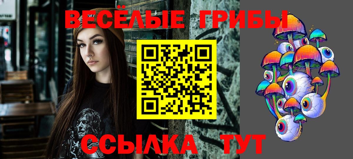 Галлюциногенные грибы Magic Shrooms  Псилоцибиновые грибы мицелий  Вход с VPN  Тольятти 